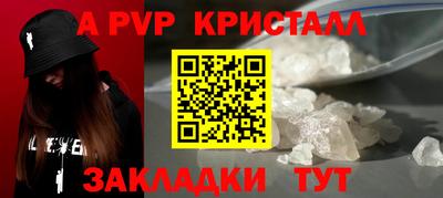 стаф Новозыбков