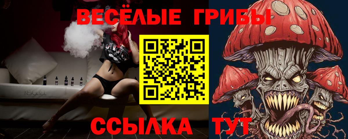 Псилоцибиновые грибы Cubensis  Псилоцибиновые грибы Cubensis  Вход с VPN  Киреевск 