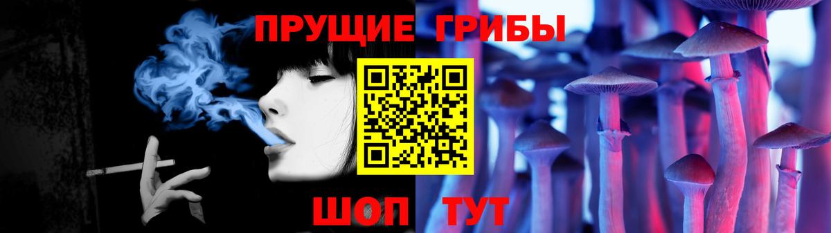 Галлюциногенные грибы прущие грибы Киреевск